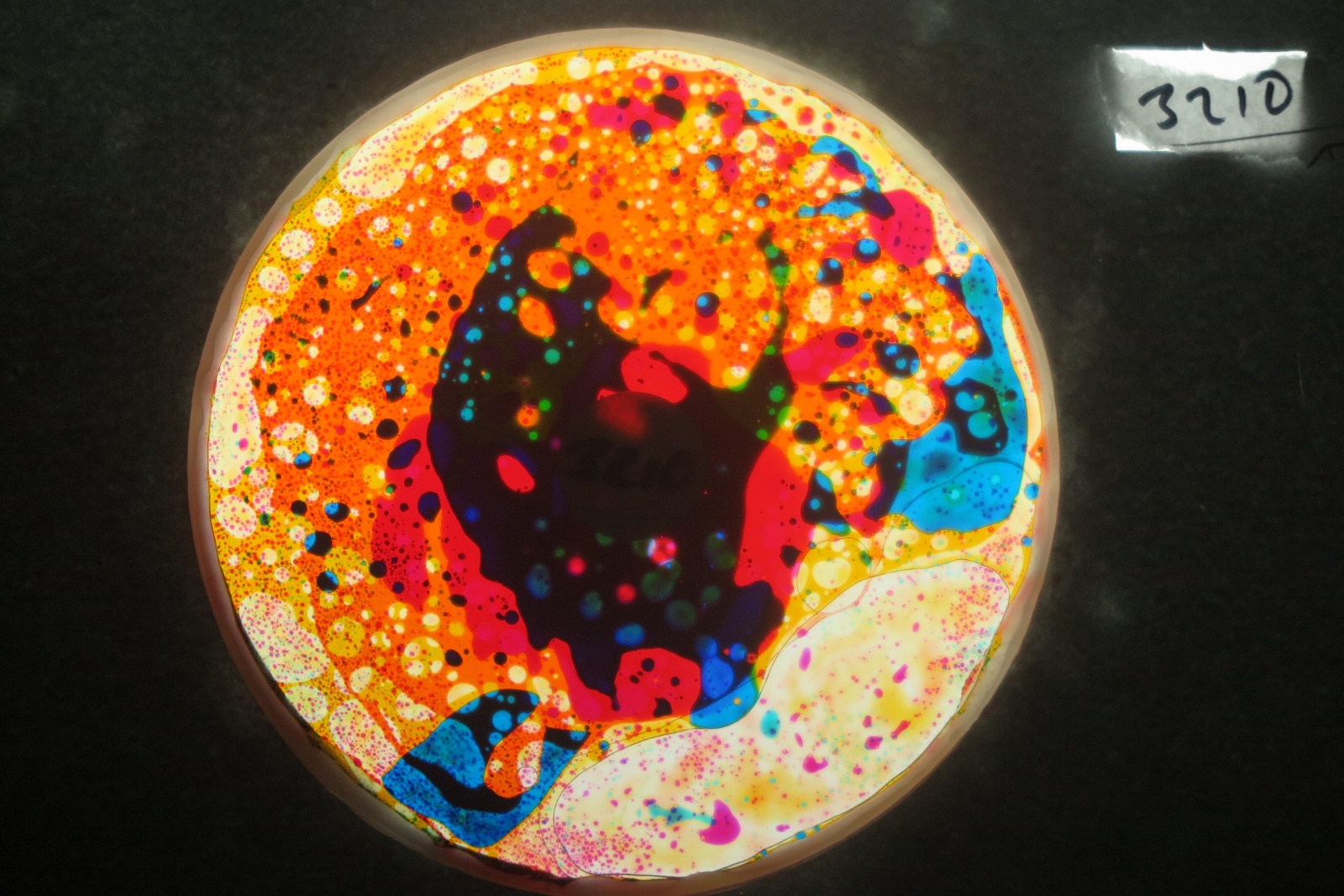 BV3210 bubble vision oil wheel